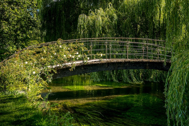 Photo of a bridge over a pond at Monet's Gardens in Giverny.